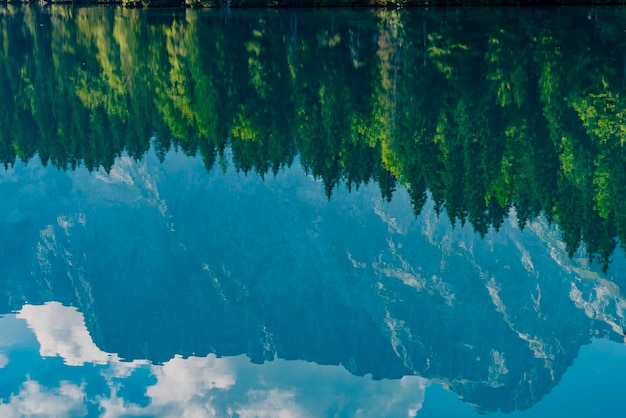 New Federal Regulations on Environmental Protection: A Comprehensive Guide