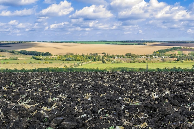 A visually striking image of a landfill site being converted into a green space, with trees being planted and solar panels installed, symbolizing the transition towards sustainable waste management solutions.
