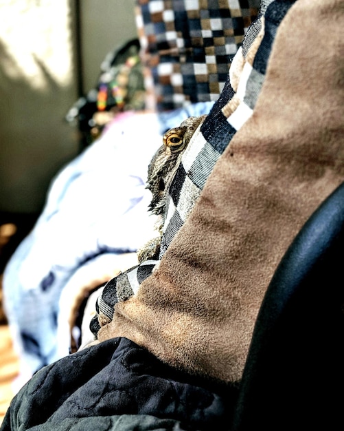 A close-up of a cosplayer meticulously sewing intricate details onto a fabric piece for their costume. The cosplayer's hands are in focus, showcasing their precision and skill, while the background is slightly blurred to emphasize the craftsmanship.